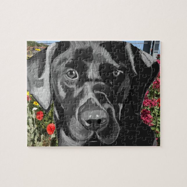 Puzzle Portrait de Black Labrador (Horizontal)