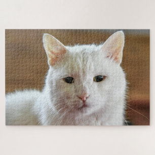 Puzzle Portrait de chat blanc Angora turc
