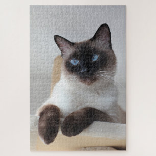 Puzzle Portrait de chat de Siamese
