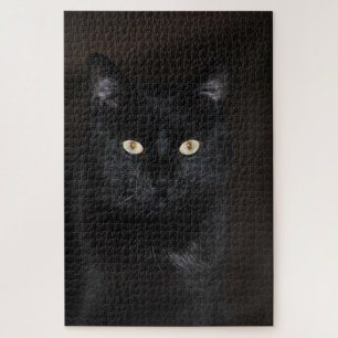 Puzzle Portrait de chat noir