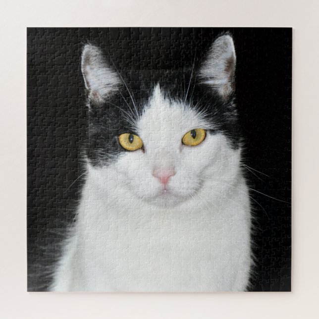 Puzzle Portrait de chat noir et blanc (Horizontal)