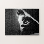 Puzzle Portrait de chat noir et blanc<br><div class="desc">Beau chat noir et blanc aux cheveux courts,  assis dans une pièce à la lumière tamisée.</div>