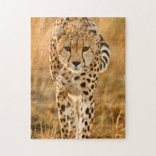 Puzzle Portrait de Cheetah