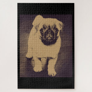Puzzle Portrait de chien Carlin mignon