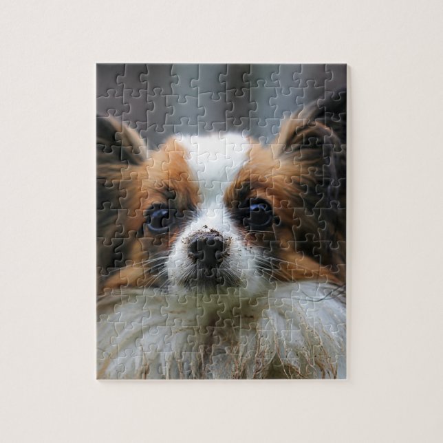 Puzzle Portrait de chien Papillon pure race (Vertical)
