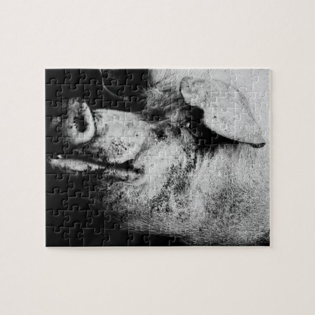 Puzzle portrait de cochon (Horizontal)