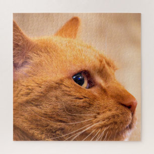 Puzzle Portrait de Curieux Chat Tigre Orange Photo de Nat