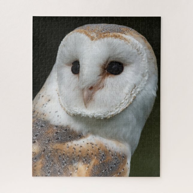 Puzzle Portrait de la chouette d'Amérique (Vertical)