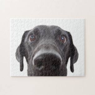 Puzzle Portrait de la collection Black Labrador