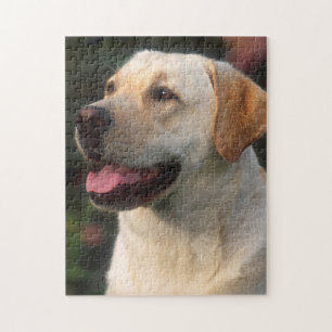 Puzzle Portrait De Labrador Retriever, Hilton