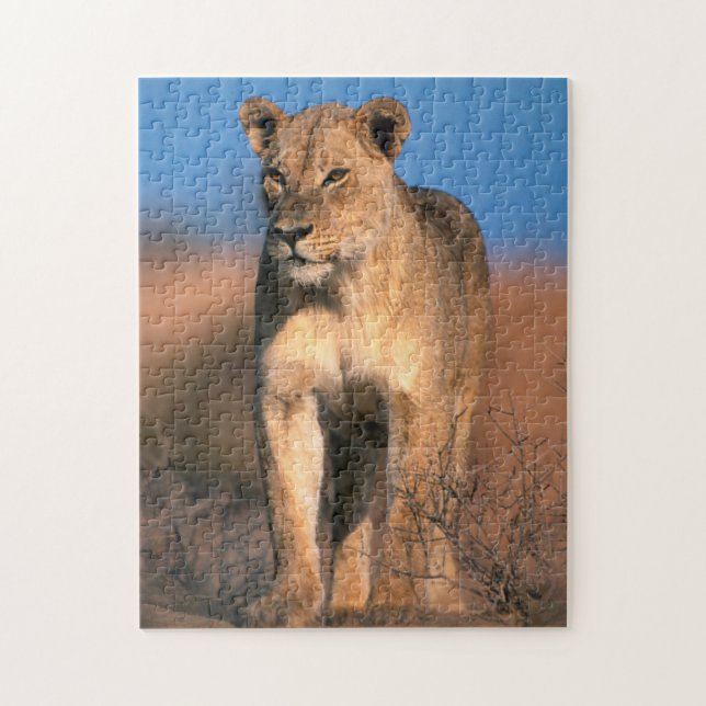 Puzzle Portrait de lionne (Panthera Leo) (Vertical)