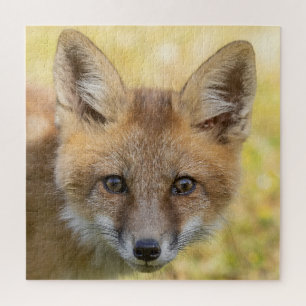 Puzzle Portrait de Little Cutie Fox