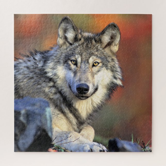 Puzzle Portrait de loup (Vertical)
