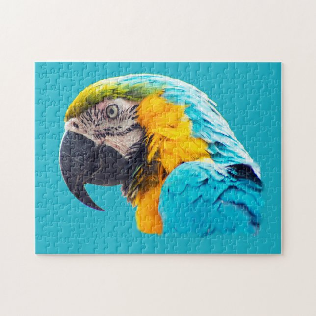 Puzzle Portrait de Macaw sur un arrière - plan turquoise (Horizontal)