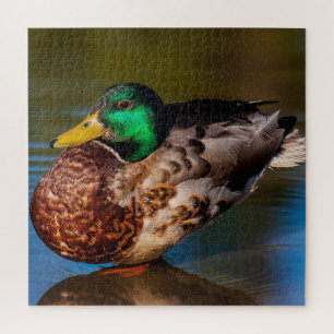 Puzzle Portrait de Mallard