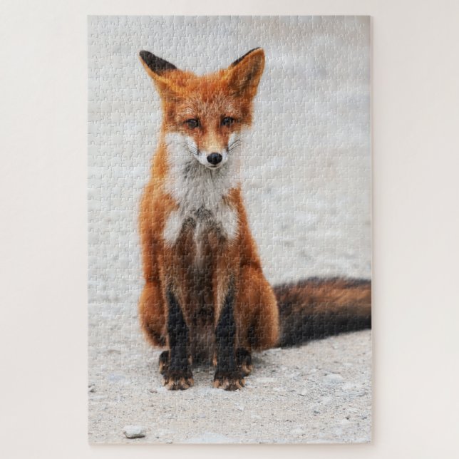Puzzle Portrait de mignon renard rouge sauvage avec de be (Vertical)