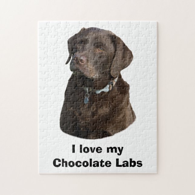 Puzzle Portrait de photo de chien de Labrador de chocolat (Vertical)