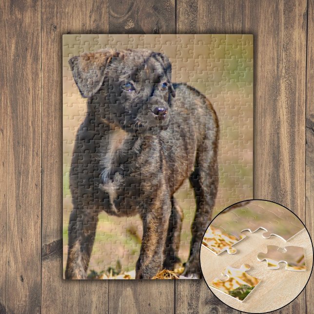 Puzzle Portrait de profil de chiot (Brindle Puppy Profile Portrait Jigsaw Puzzle)