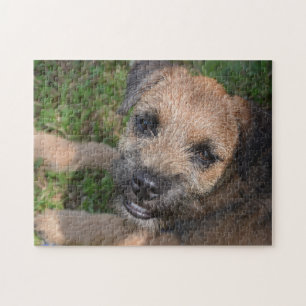 Puzzle Portrait de Terrier frontalier