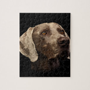 Puzzle Portrait de Weimaraner