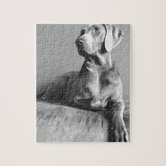 Puzzle Portrait de Weimaraner (Vertical)
