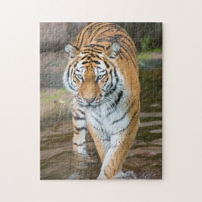 Puzzle Portrait du tigre de Prowling (Vertical)
