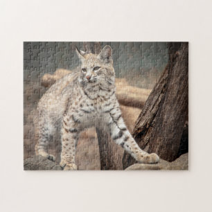 Puzzle Portrait d'un Bobcat