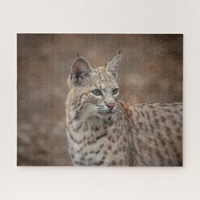 Puzzle Portrait d'un Bobcat (Horizontal)