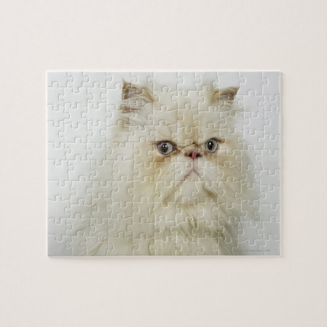 Puzzle Portrait d'un chat perse (Horizontal)