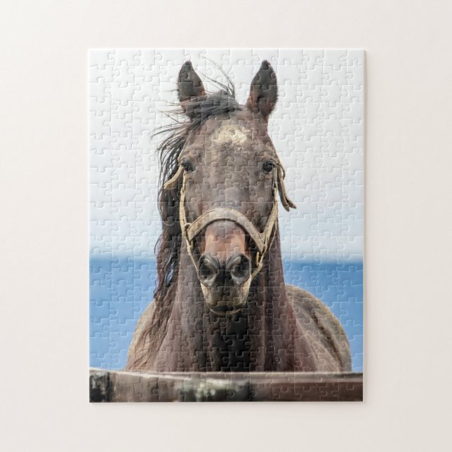 Puzzle Portrait d'un cheval (Vertical)
