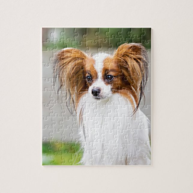 Puzzle Portrait d'un chien papillon (Vertical)