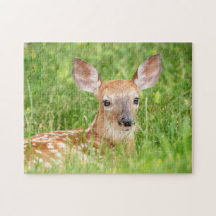 Puzzle Portrait d'un faon (cerf de Virginie)