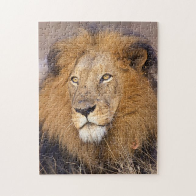 Puzzle Portrait d'un Lion regardant au loin (Vertical)
