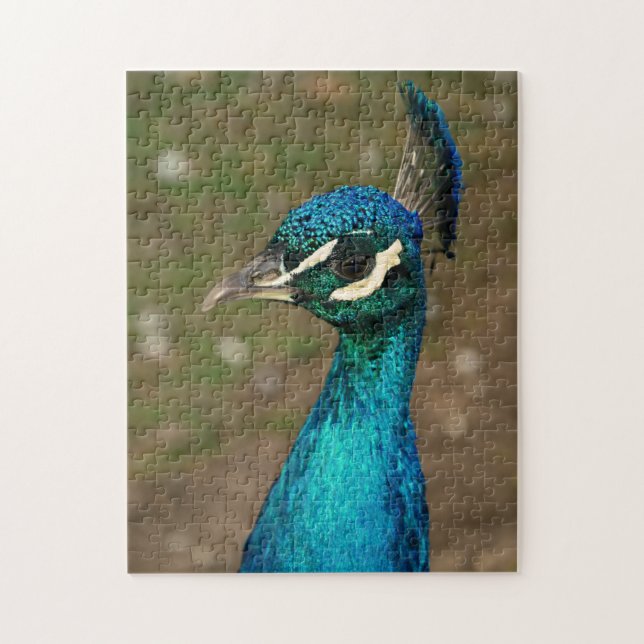 Puzzle Portrait d'un paon bleu (Vertical)
