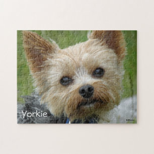 Puzzle Portrait d'un Yorkshire Terrier