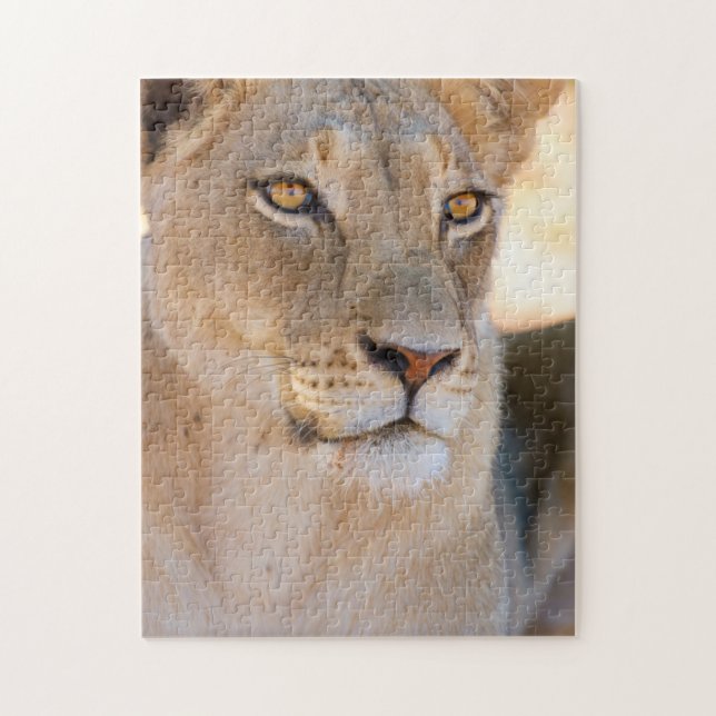 Puzzle Portrait d'une Lionne regardant au loin (Vertical)