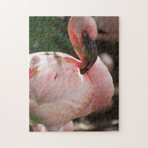 Puzzle Portrait Flamant rose
