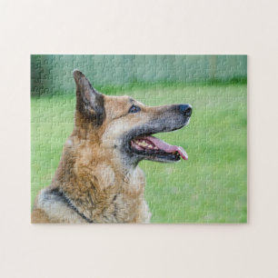 Puzzle Portrait latéral du berger allemand