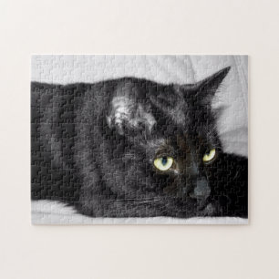 Puzzle Portrait mignon de chat noir