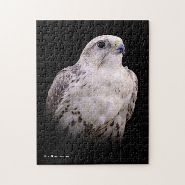 Puzzle Portrait signé d'un faucon de Saker curieux (Vertical)
