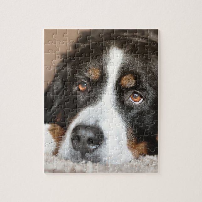 Puzzle pose de chien de montagne bernese (Vertical)