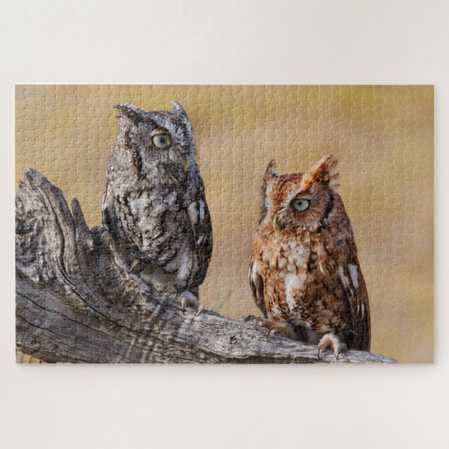 Puzzle Pose de l'arbre à vis de l'est (Horizontal)