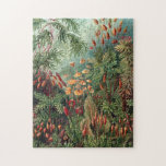 Puzzle Poster vintage Ernst Haeckel Moss<br><div class="desc">Vintage Ernst Haeckel Moss</div>