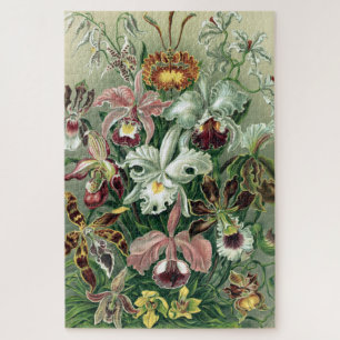 Puzzle Poster vintage Haeckel Colorful Orchid Lithograph