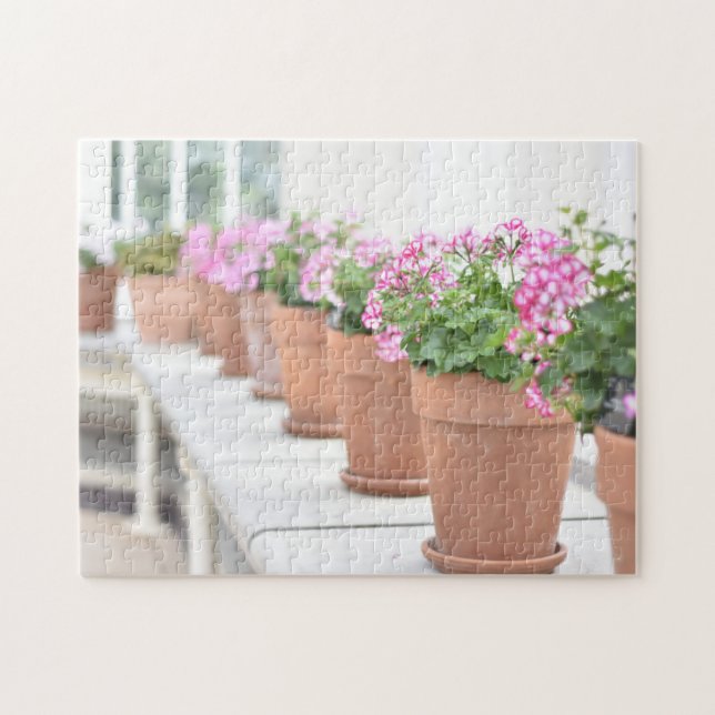 Puzzle Pots de fleurs Serre Kew Gardens Londres Royaume-U (Horizontal)