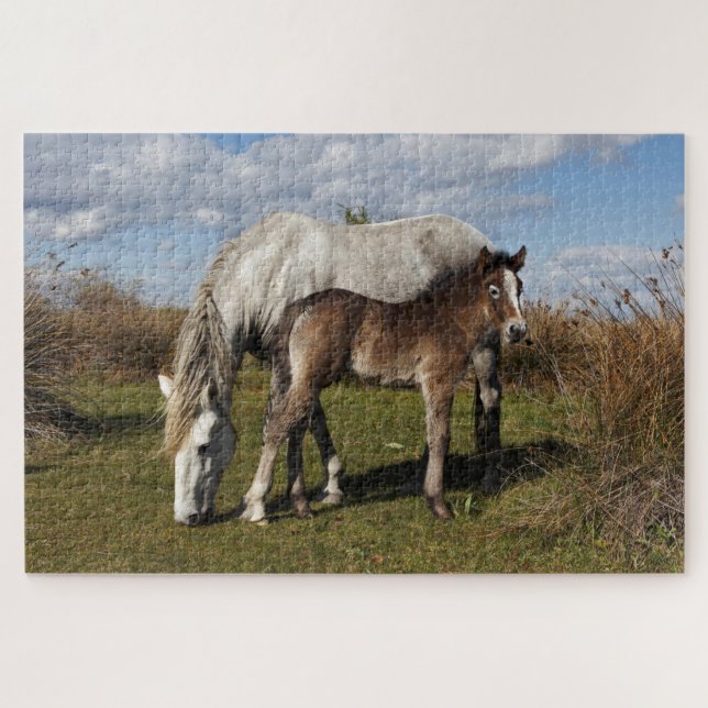 Puzzle Poulain du cheval de Camargue avec sa mère (Horizontal)