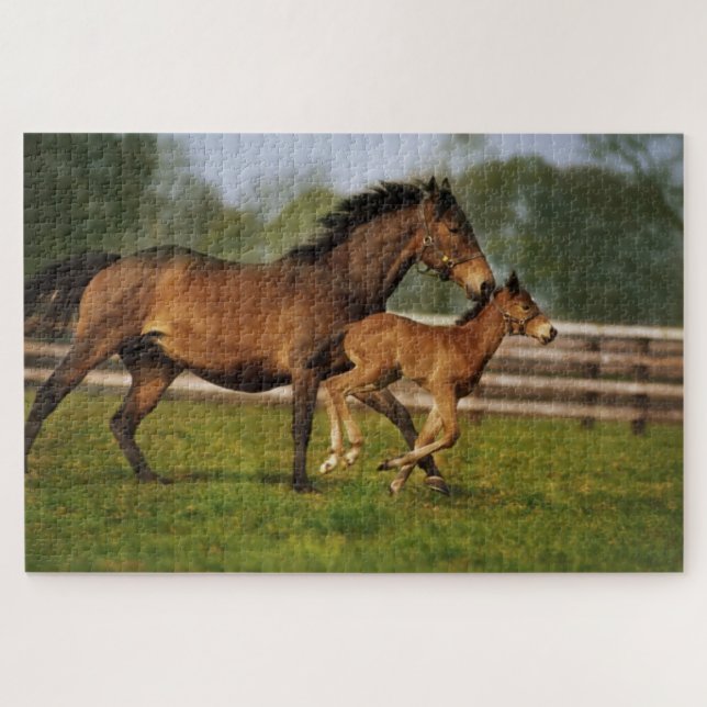 Puzzle Poulain et pouliche alezan Pur Sang (Horizontal)