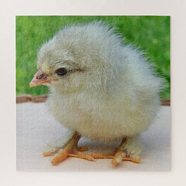 Puzzle poulet, animal, oiseau, ferme, mignonette, puzzle, (Vertical)