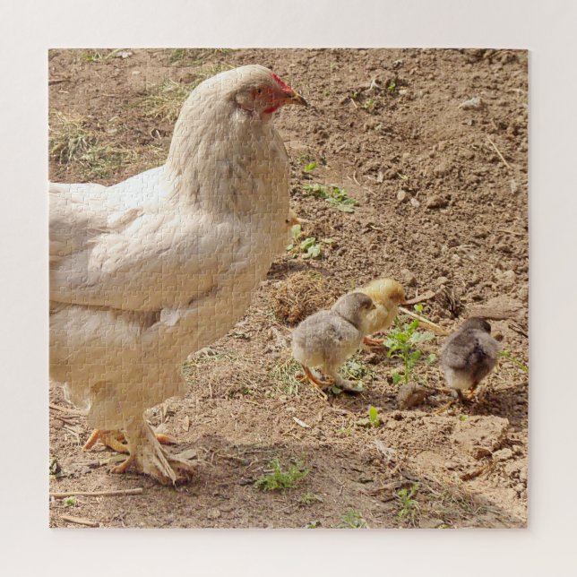 Puzzle poulet, animal, poussin, oiseau, ferme, mignon, pu (Vertical)