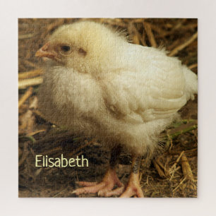 Puzzle poulet, animal, poussin, oiseau, ferme, mignon, pu